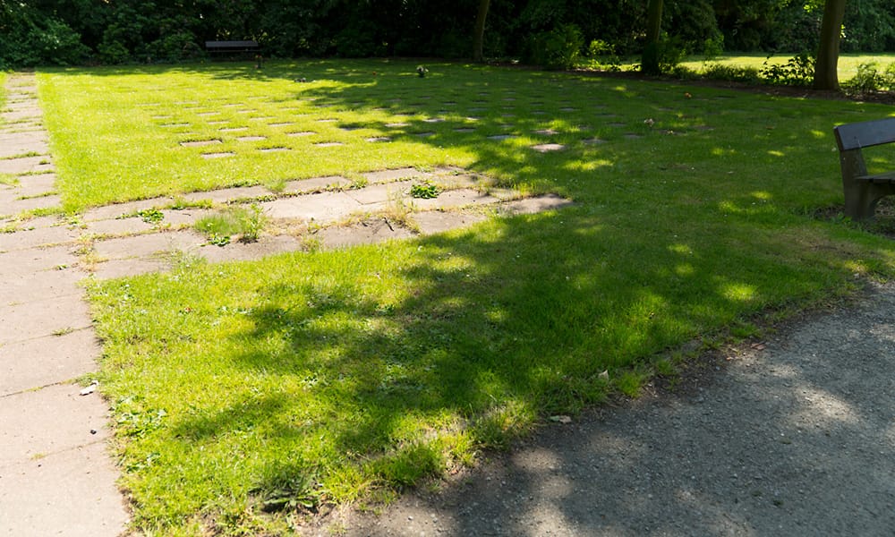 Geeste_Fruehling_2019-242