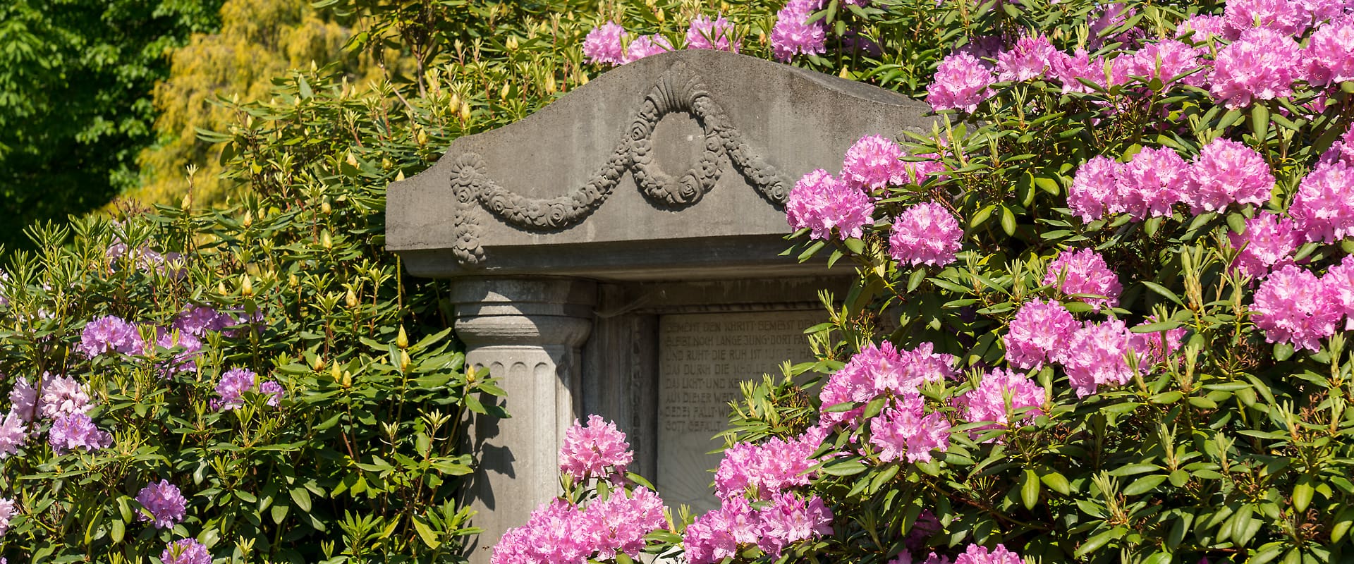 FVWEM_Slideshow_Fruehling_07