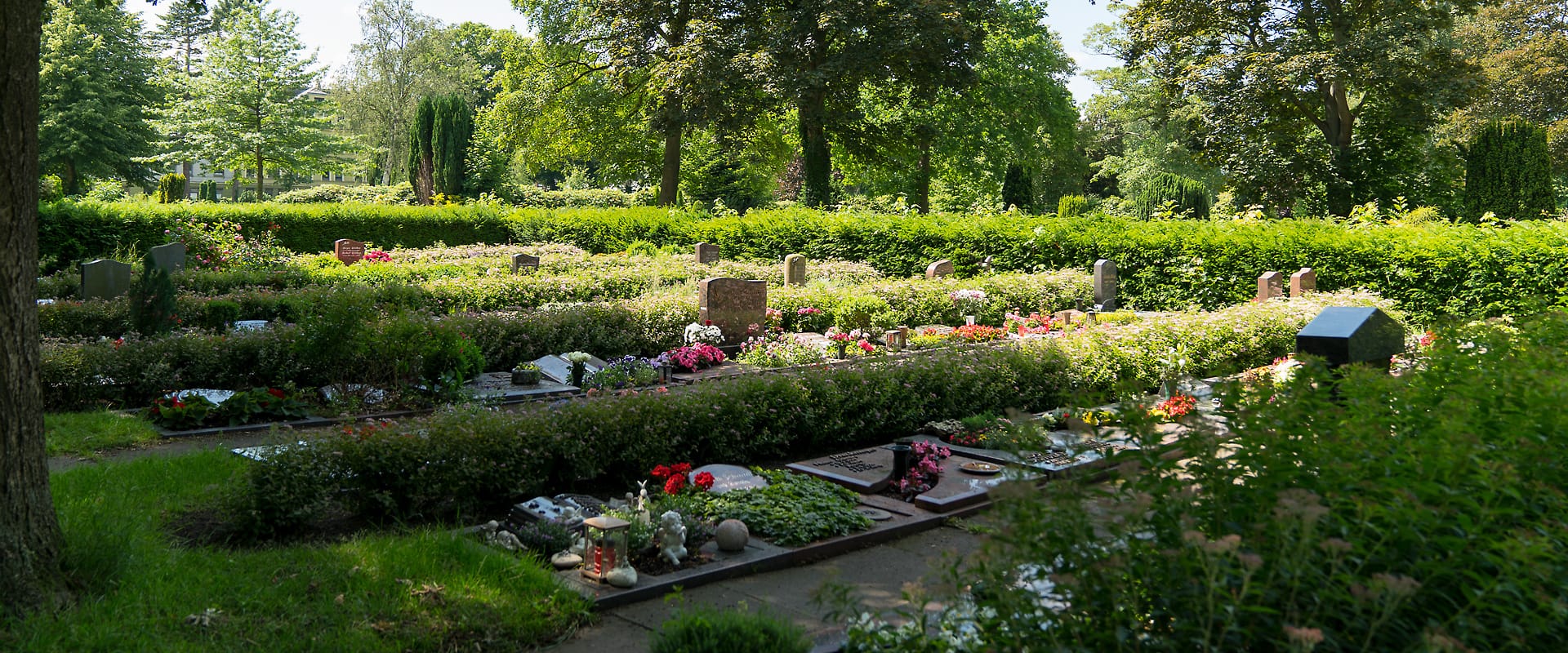 FVWEM_Slideshow_Fruehling_31