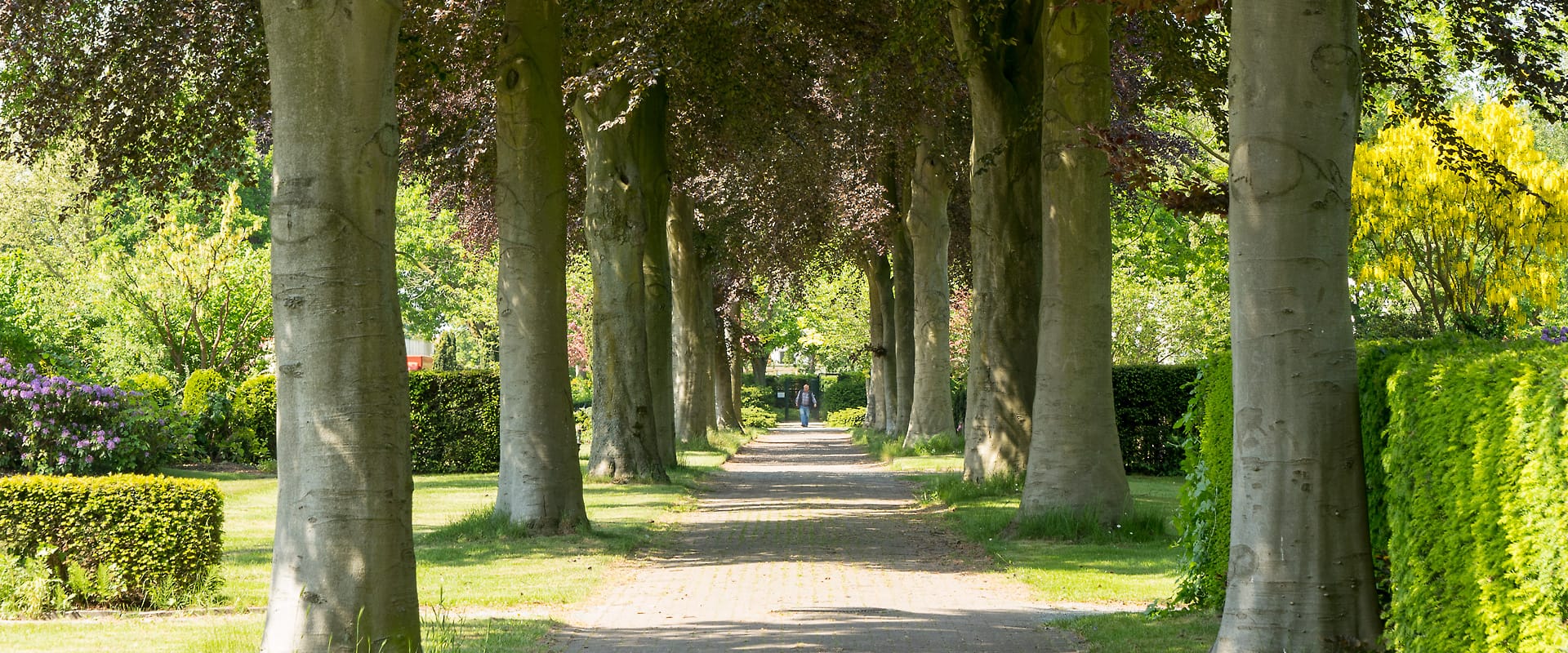 FVWEM_Slideshow_Fruehling_32