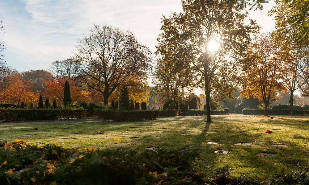 Friedhof-Feldstrasse-Herbst-18-1