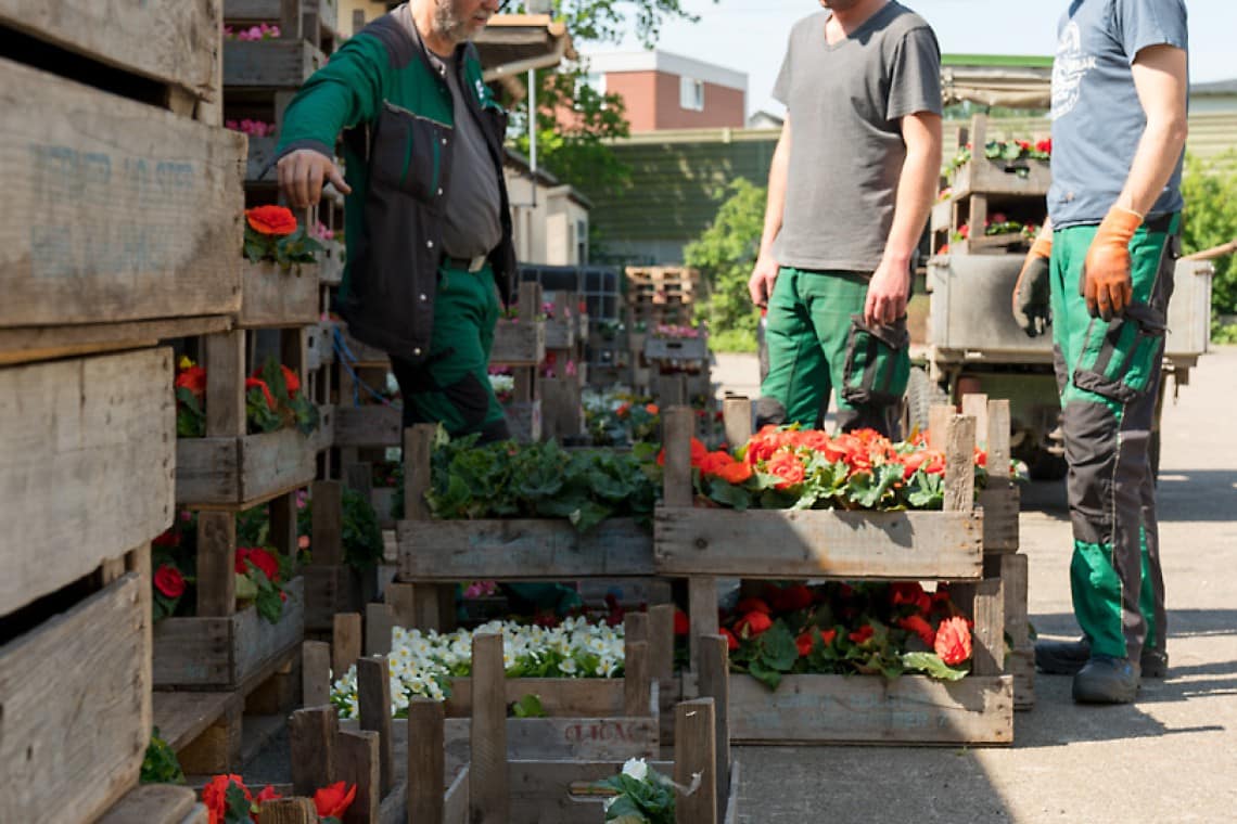 FVWEM_Mitarbeiter_11