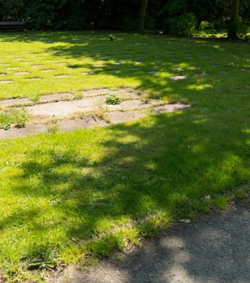 Geeste_Fruehling_2019-242