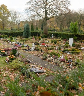 Feldstr_Herbst19-183