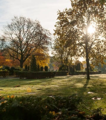 Friedhof-Feldstrasse-Herbst-18-1