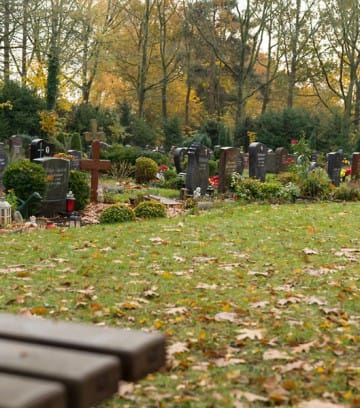 Feldstr_Herbst19-211