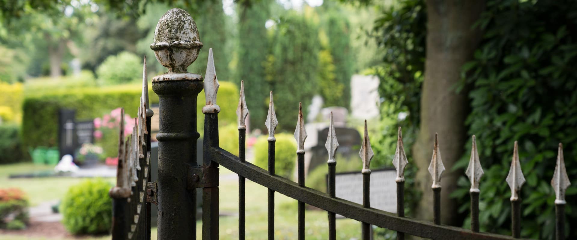 FVWEM_Slideshow_Fruehling_17