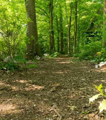 Geeste_Fruehling_2019-56