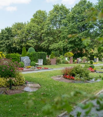 Schiff_Fruehling_2019-9